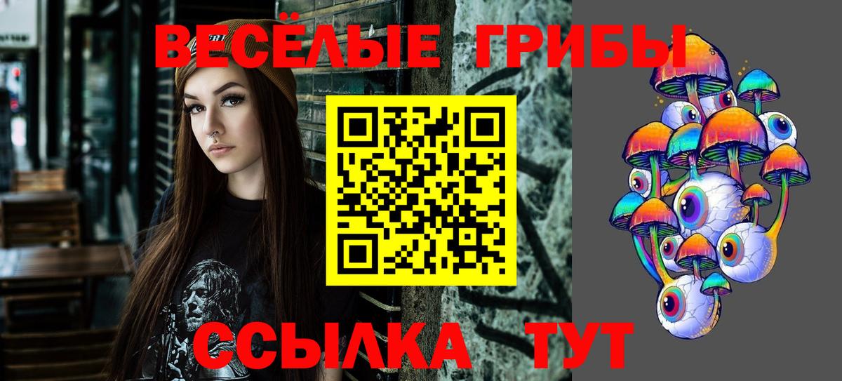 Качканар  Галлюциногенные грибы Psilocybine cubensis  Псилоцибиновые грибы мицелий  Вход с VPN 